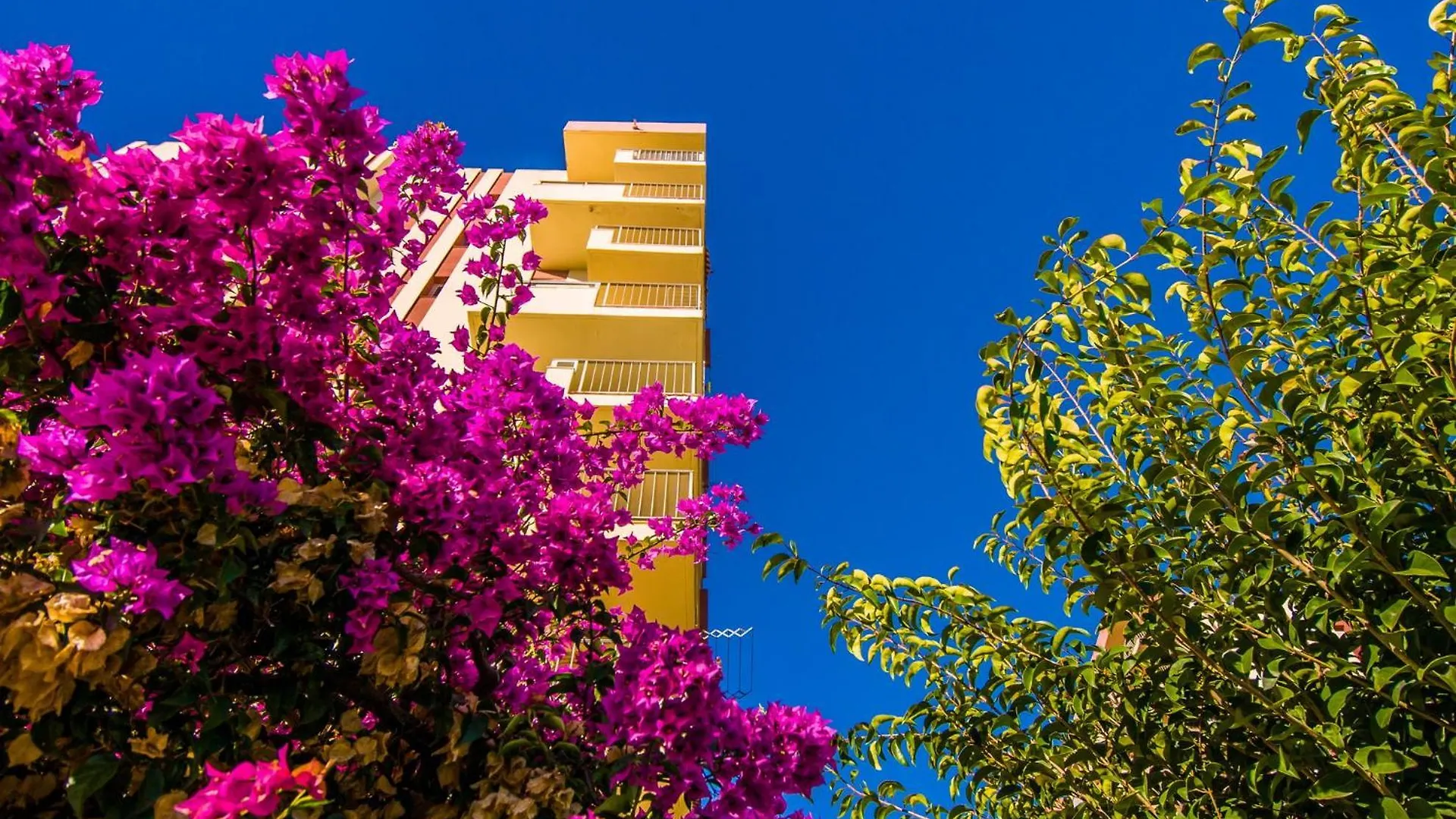 426 Estudio En Minerva Apartamentos - Vista Al Jardin - Piscina Y Playa Benalmadena